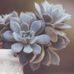 选择安全可靠的网赌平台大全,避免风险与陷阱 20drg5w5