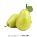 探索本溪娱乐棋牌的多样玩法与乐趣体验 2tfq8b3wo