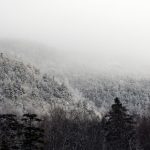 探索巴黎人赌博官网:体验无与伦比的在线娱乐世界 625p7c