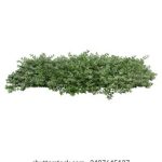 探索战神娱乐手机版的精彩世界与丰富玩法 h8w611w