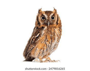 探索易发棋牌游戏平台的多样化游戏选择与玩法