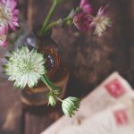 探索新皇冠app的多功能服务与用户体验 mt2x0vit02