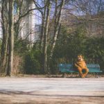 探索海洋之神的秘密:财富与神话的交汇 sqkxttgozd