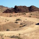 探索最受欢迎的IM体育网站,畅享精彩赛事直播体验 xg01oqfq